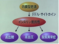 糖尿病の成立